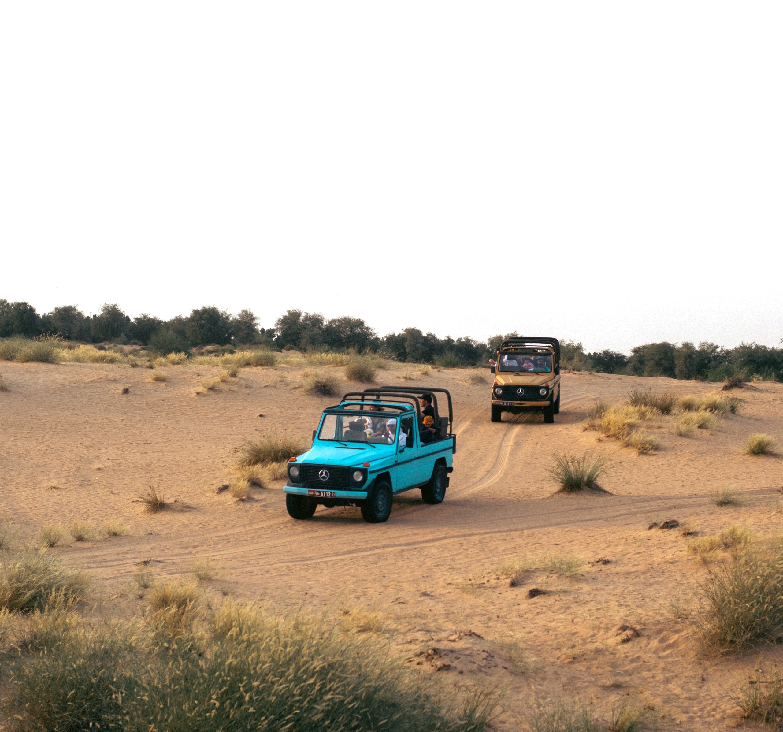 King Desert Safari Dubai Mercedes SUVs