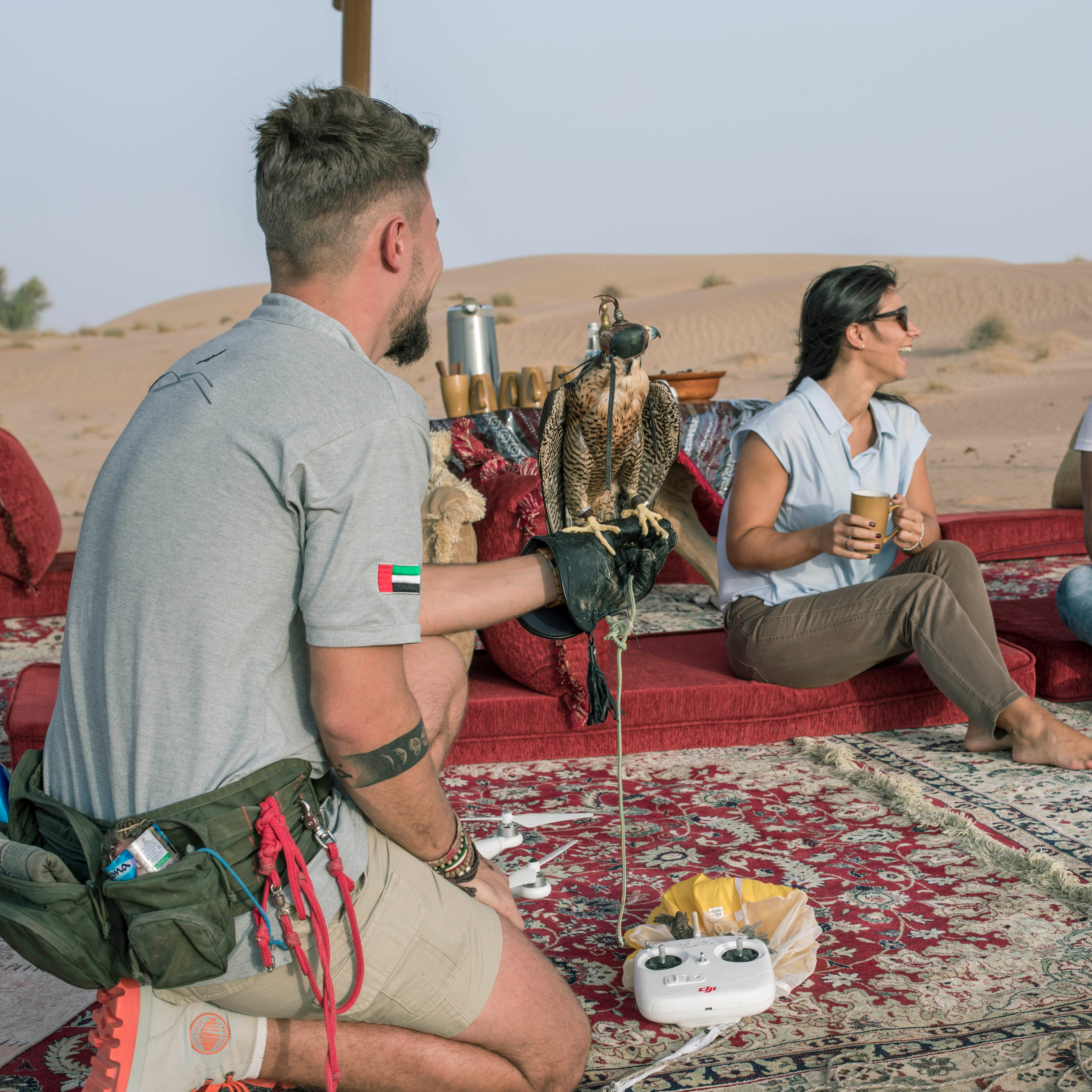 King Falcon Desert Safari