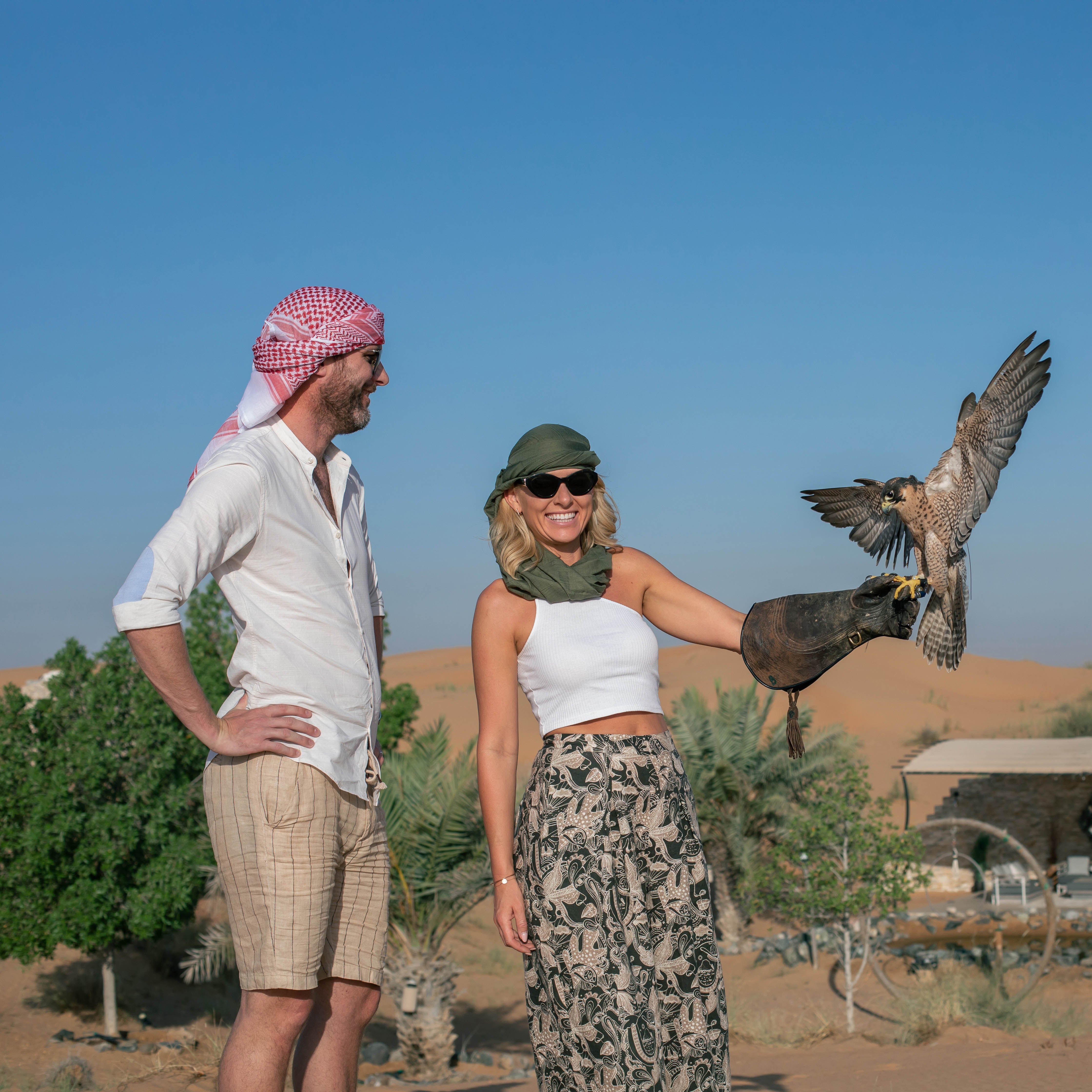 King Falcon Desert Safari