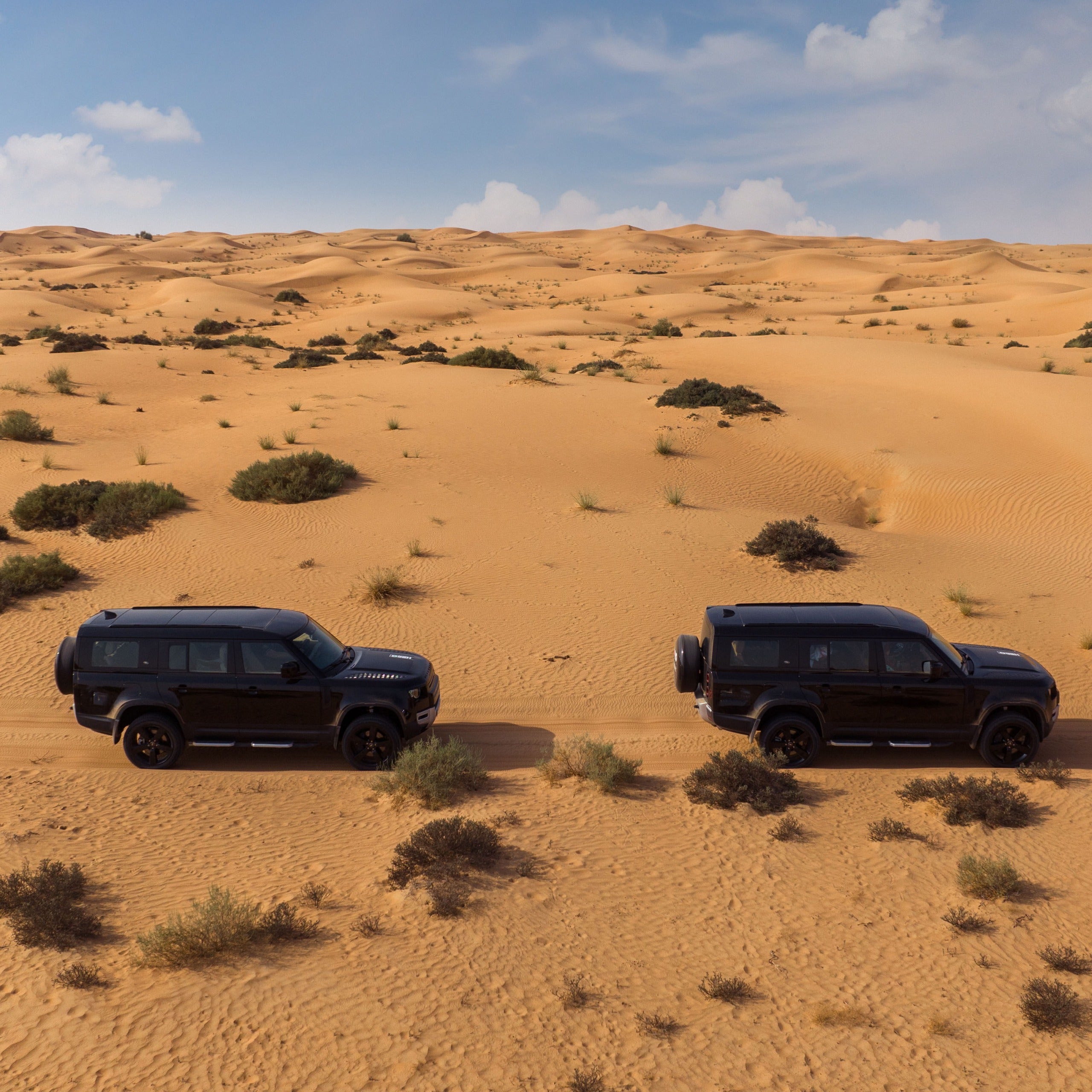 Platinum Desert Safari
