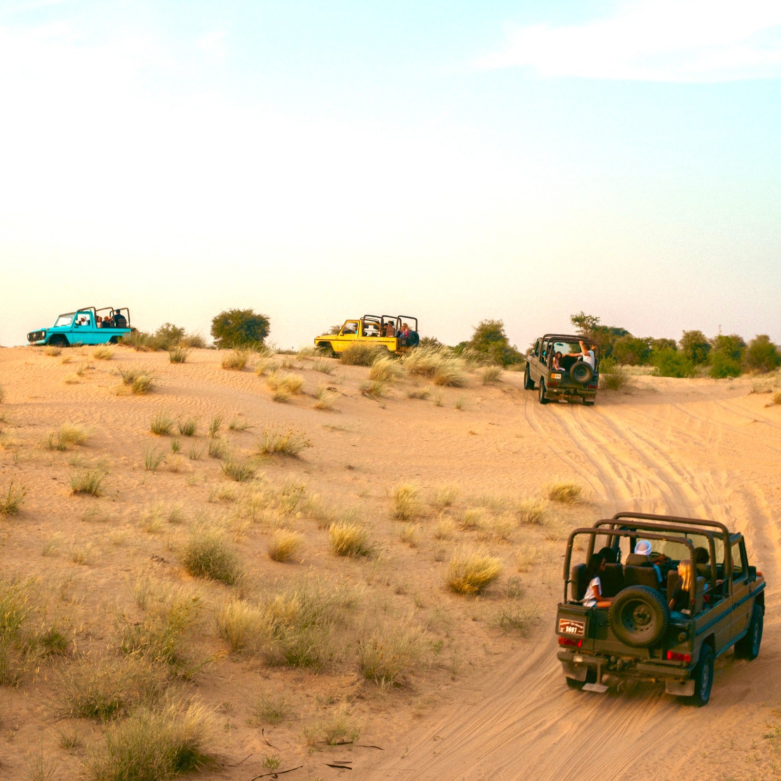 King Desert Safari