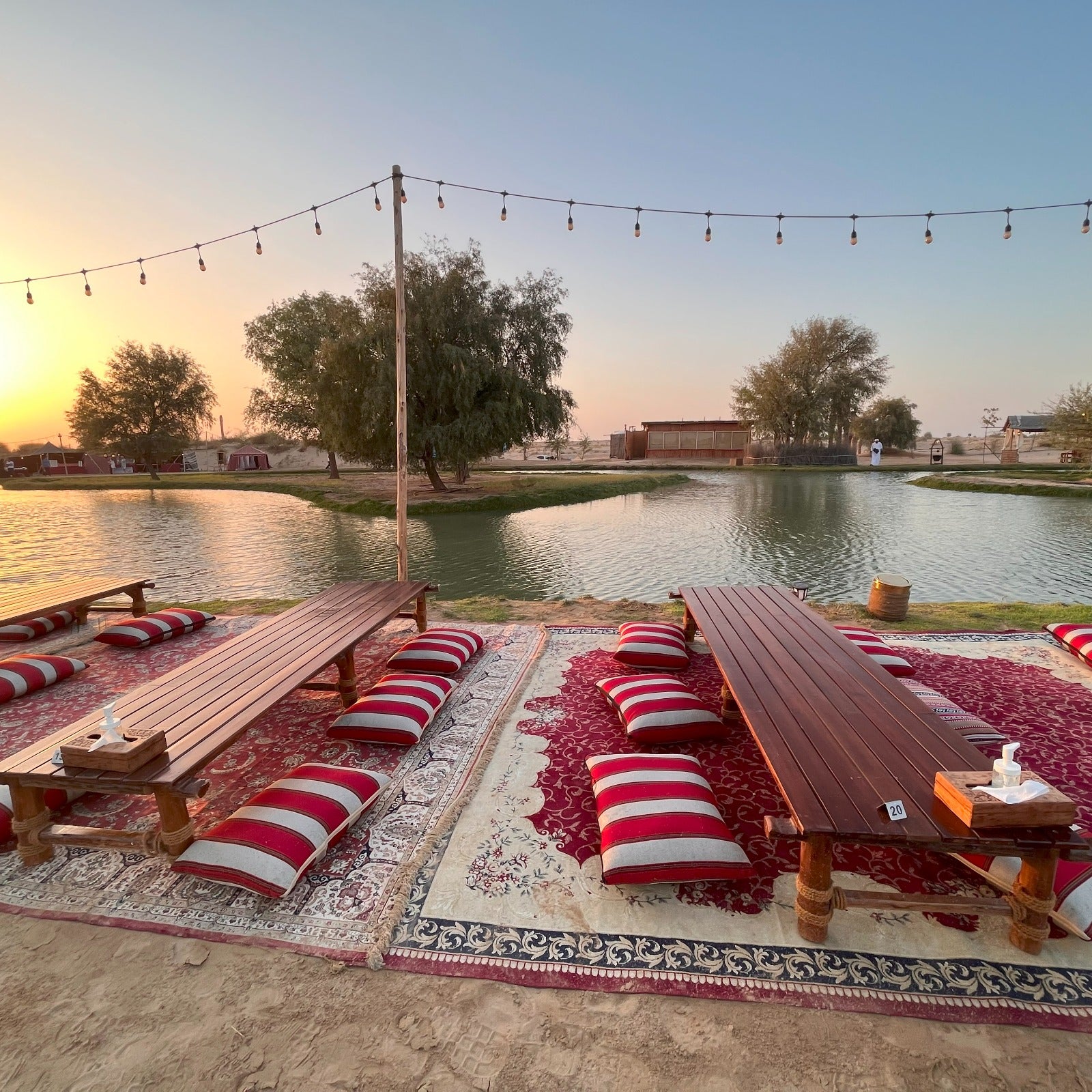 King Desert Safari