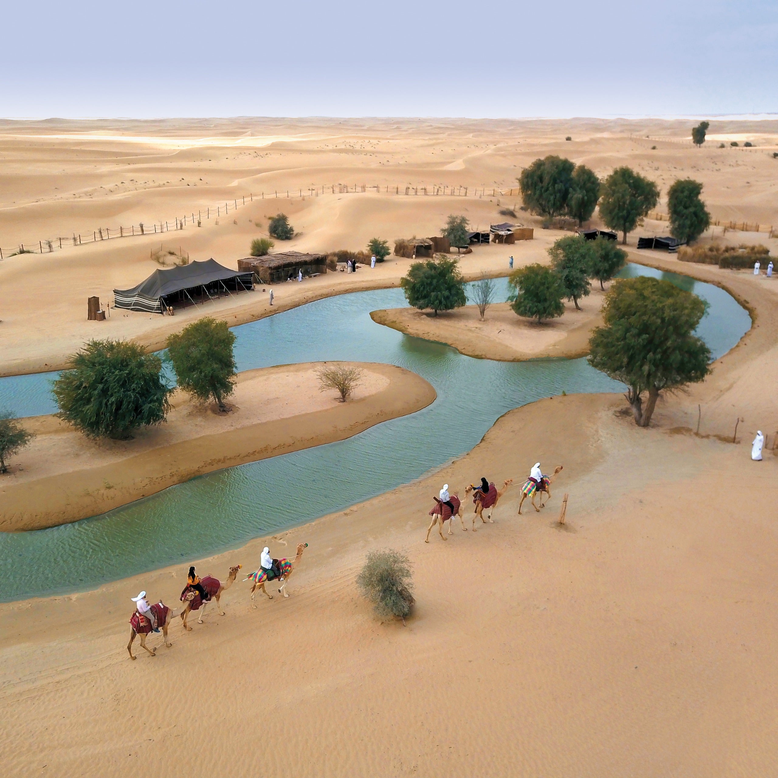 King Desert Safari