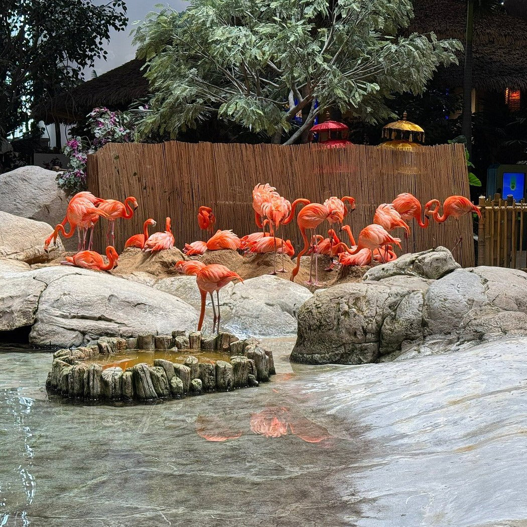 SeaWorld Tickets