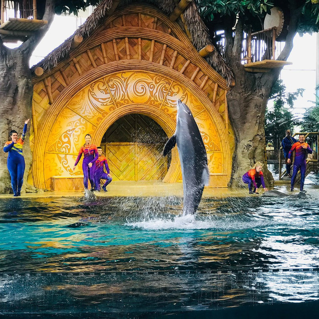 SeaWorld Tickets