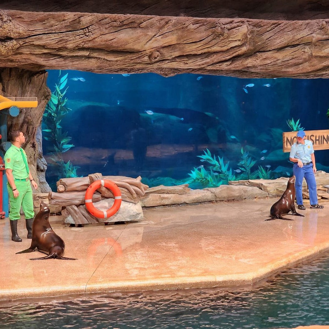 SeaWorld Tickets