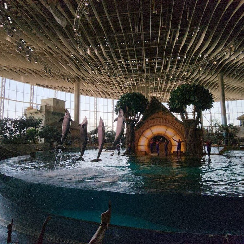 SeaWorld Tickets