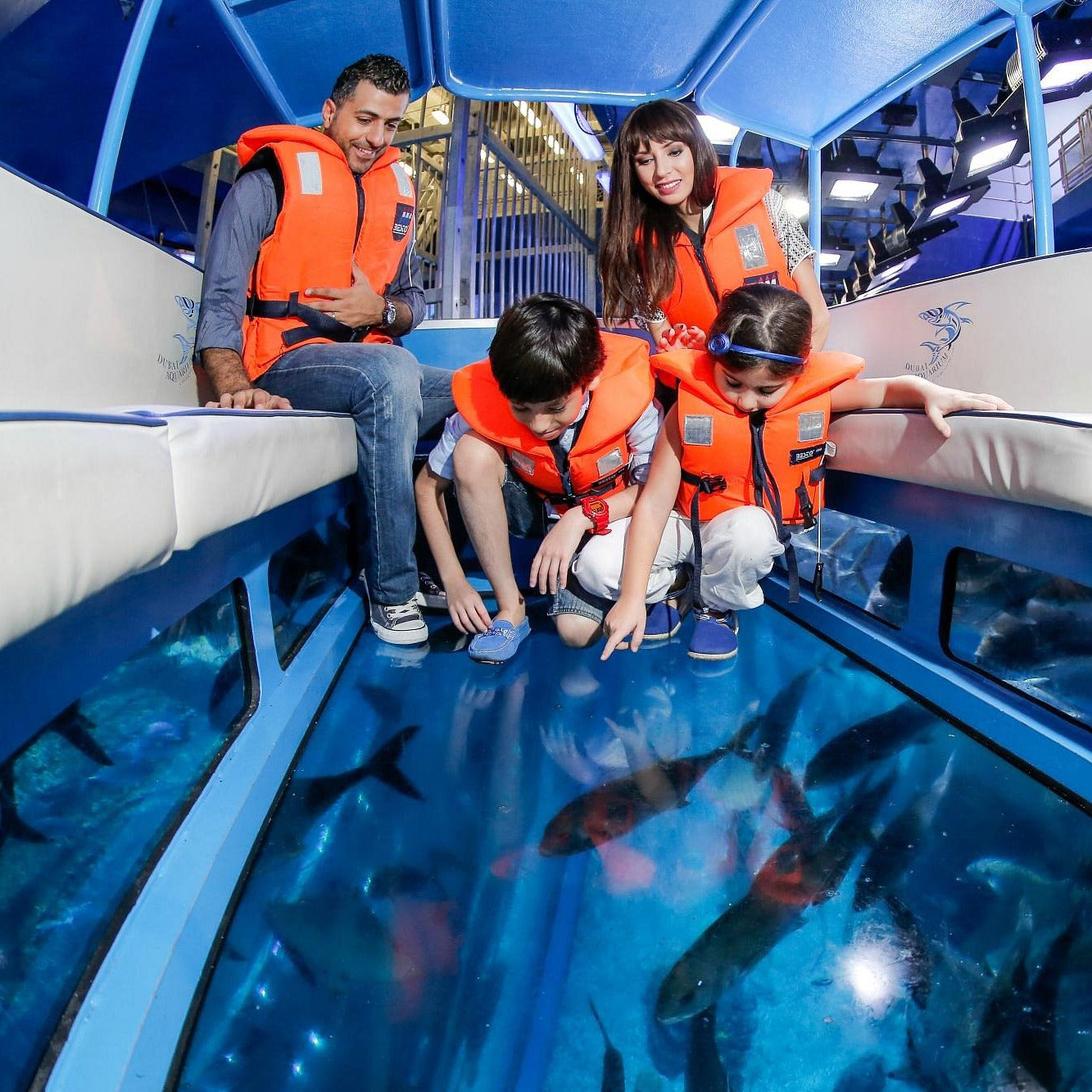 Dubai Aquarium and Underwater Zoo Tickets