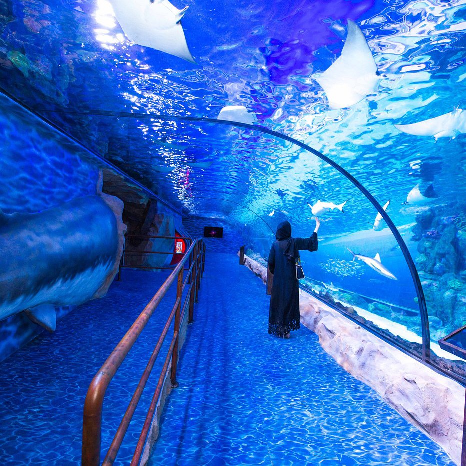Dubai Aquarium and Underwater Zoo Tickets