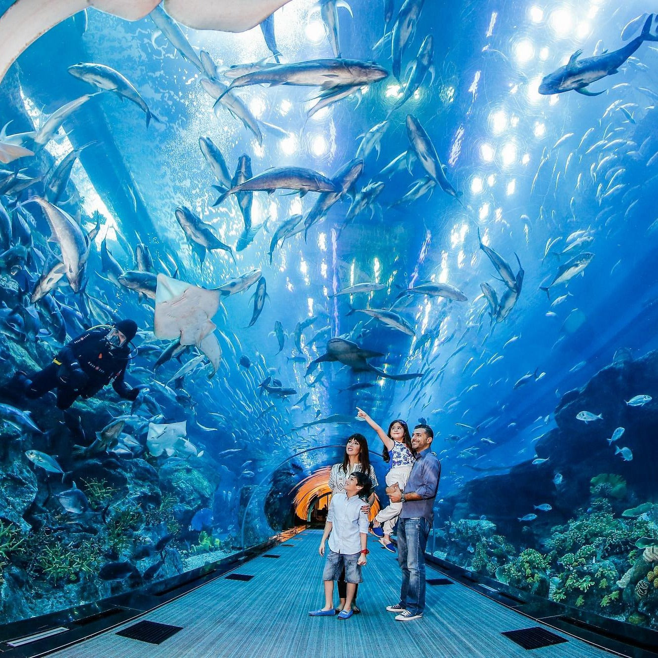 Dubai Aquarium and Underwater Zoo Tickets