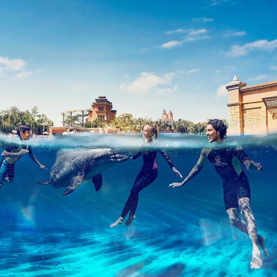 Dolphin Bay Dubai Tickets