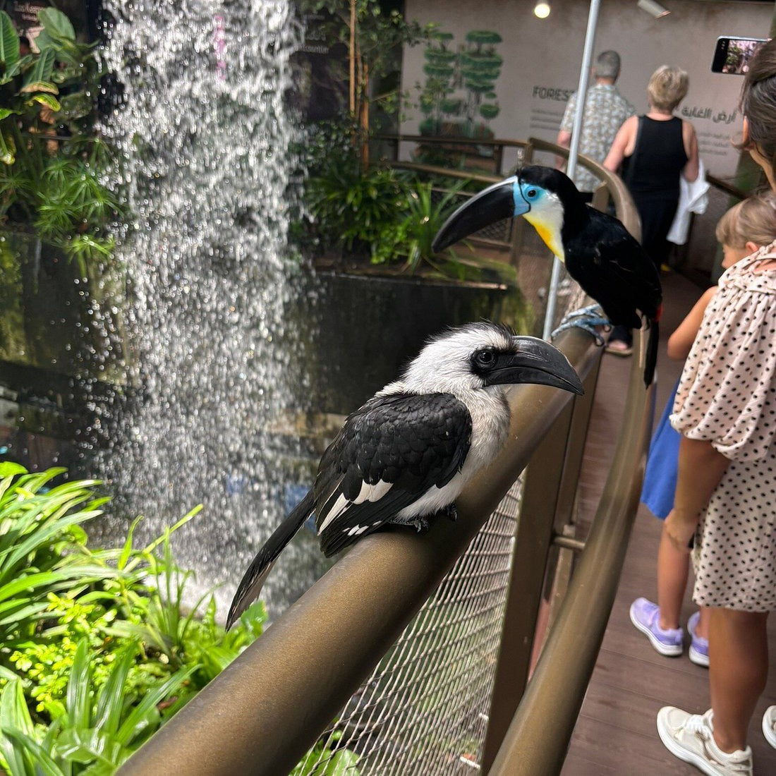 Green Planet Dubai Tickets