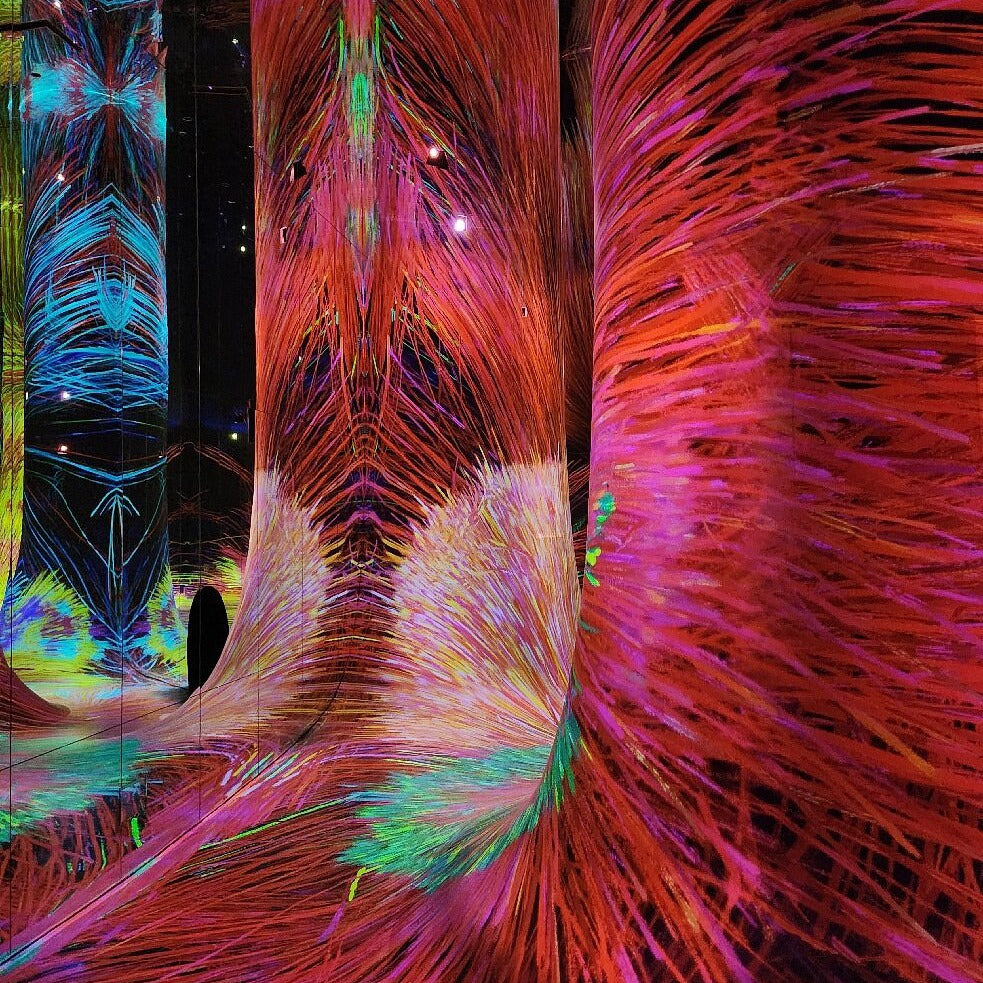 TeamLab Phenomena Abu Dhabi Tickets