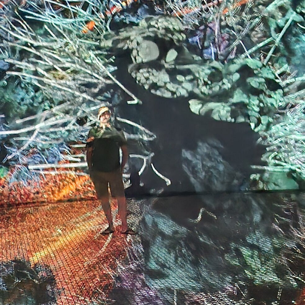 TeamLab Phenomena Abu Dhabi Tickets