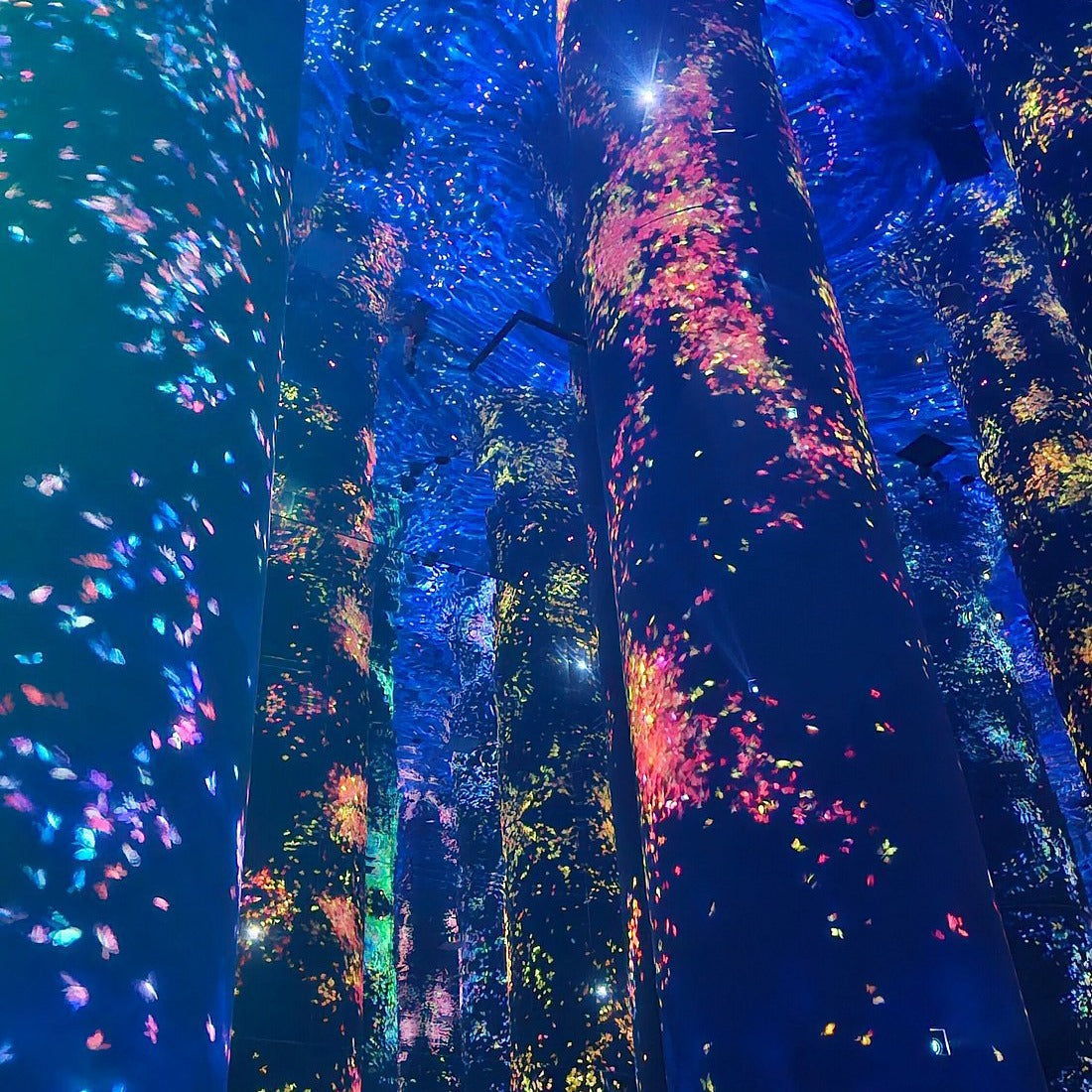 TeamLab Phenomena Abu Dhabi Tickets