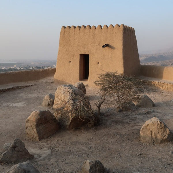 Ras Al Khaimah City Tour With Guide