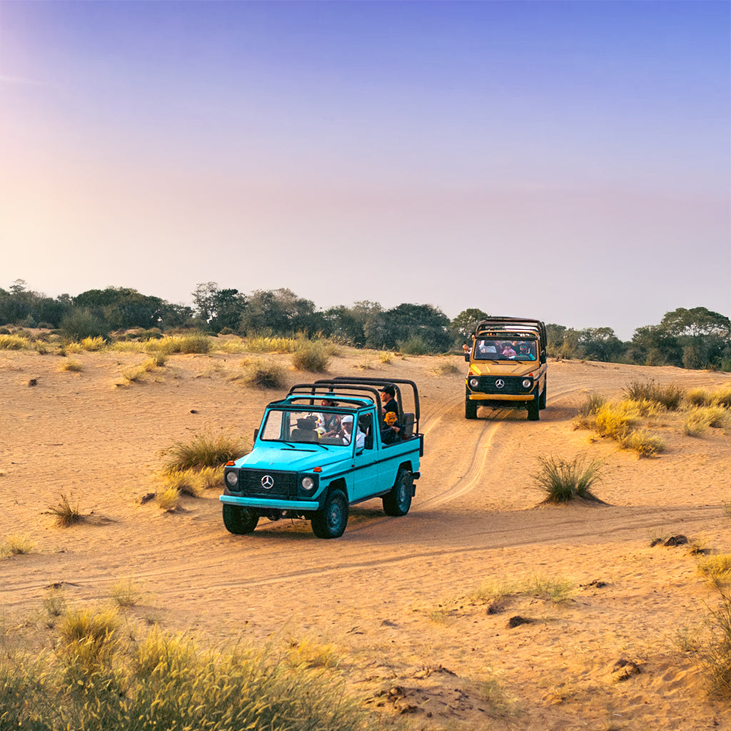 King Desert Safari