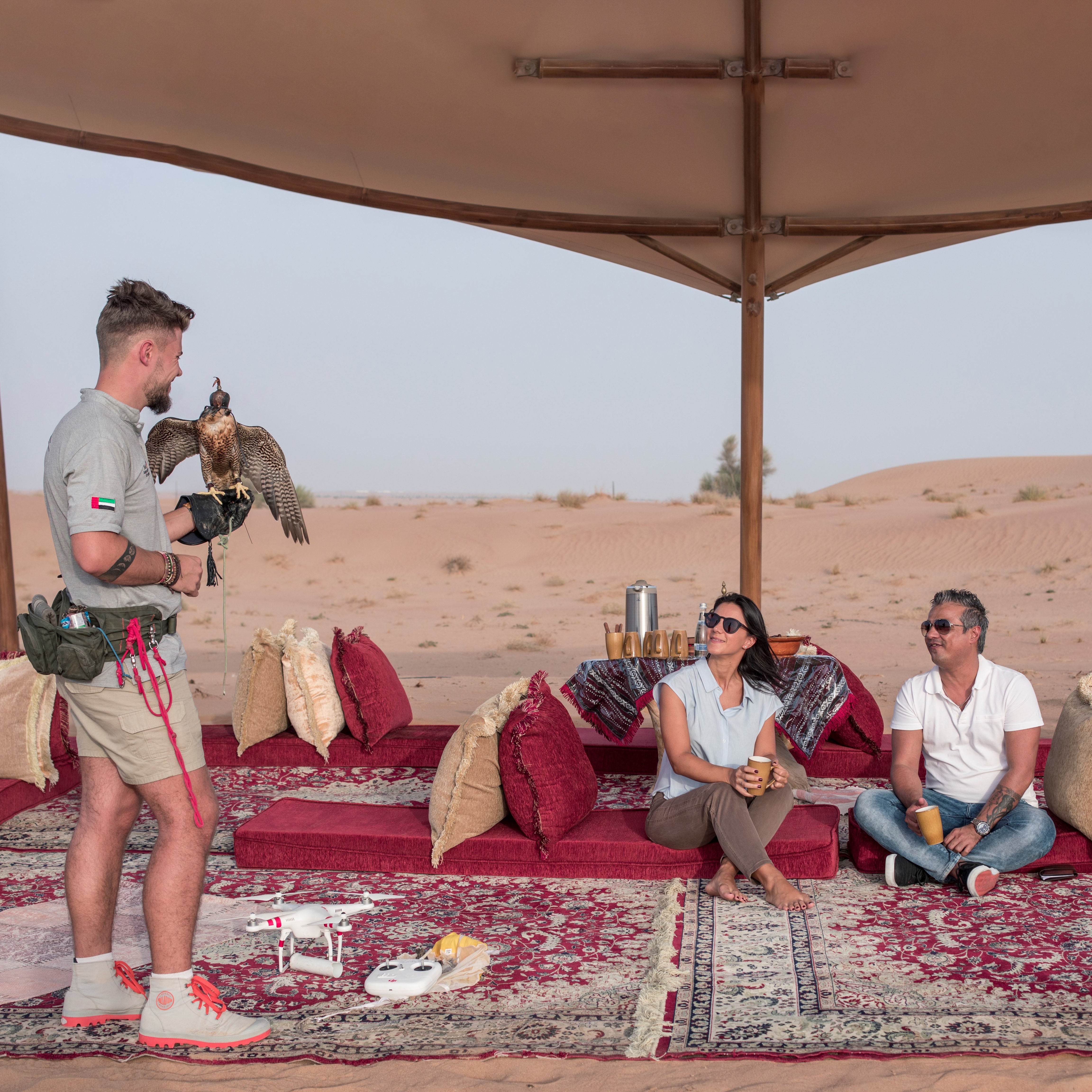 King Falcon Desert Safari