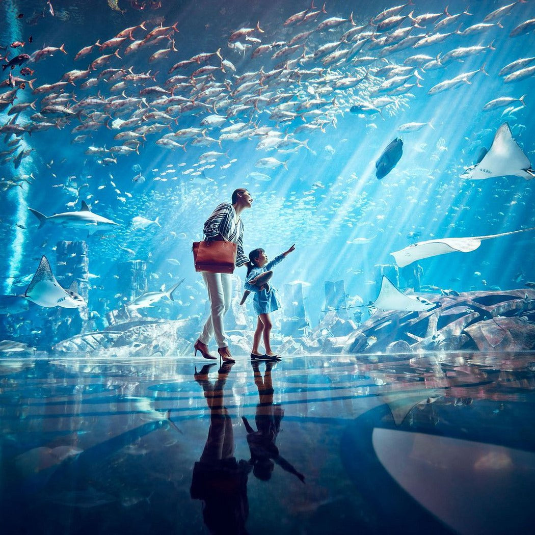 Lost Chambers Aquarium Dubai Tickets