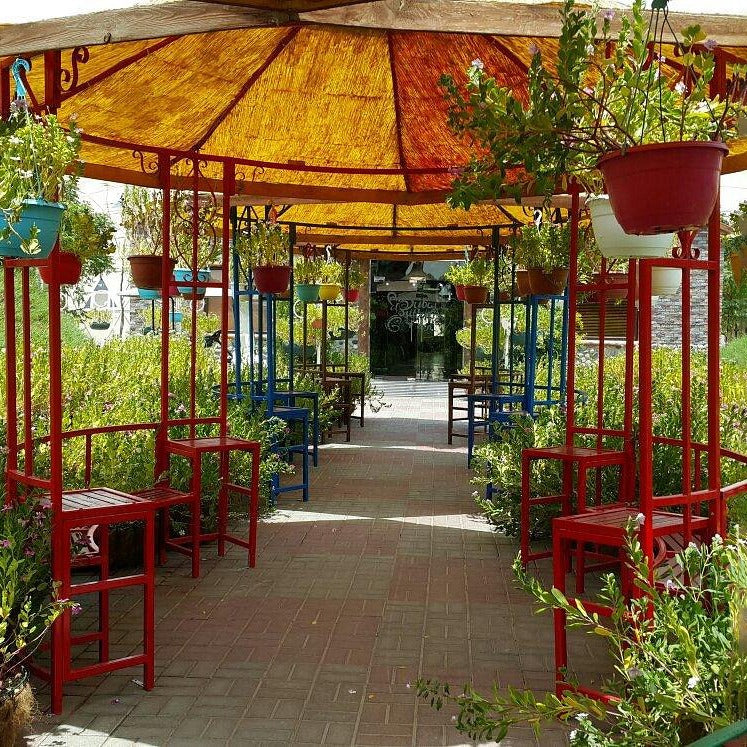 Dubai Butterfly Garden Tickets