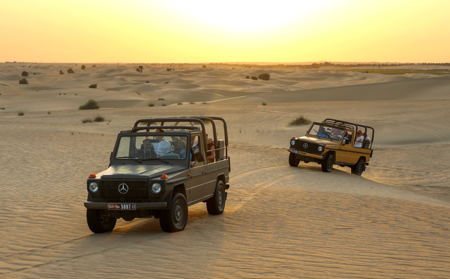 Luxury King Safari in Dubai desert with camel ride