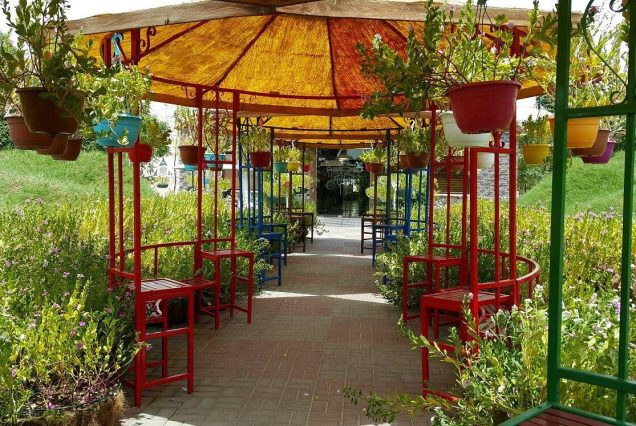 Dubai Butterfly Garden with vibrant butterflies