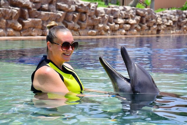Dolphin Bay Dubai with dolphin interaction