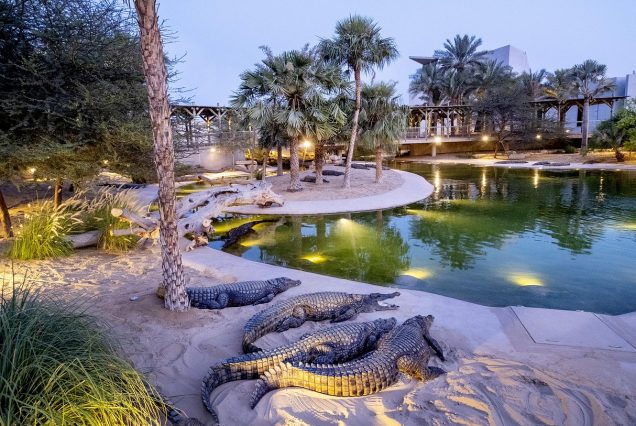 Crocodile exhibit at Dubai Crocodile Park