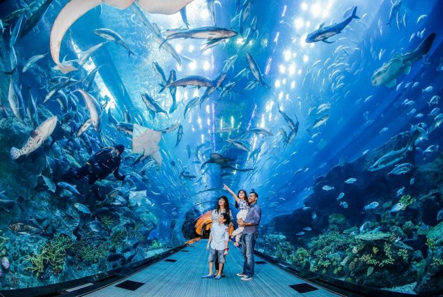 Dubai Aquarium with underwater zoo and penguin cove