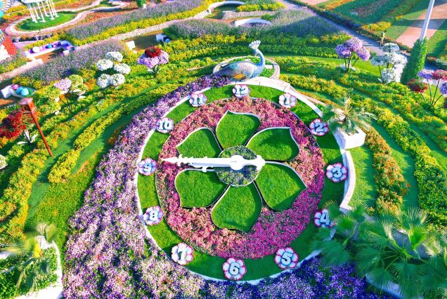Dubai Miracle Garden with colorful flower displays